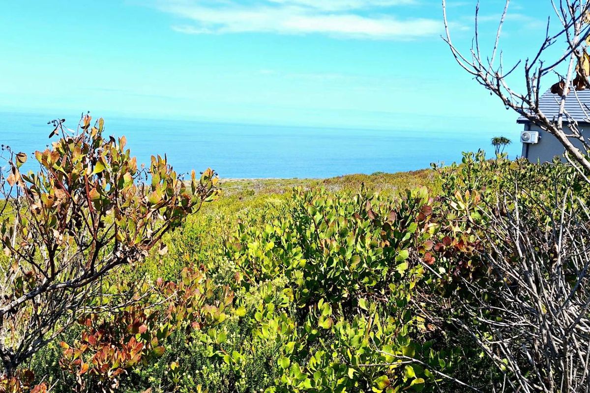 980m2 Vacant Land in Village on Sea with Stunning Ocean Views - Photo 3
