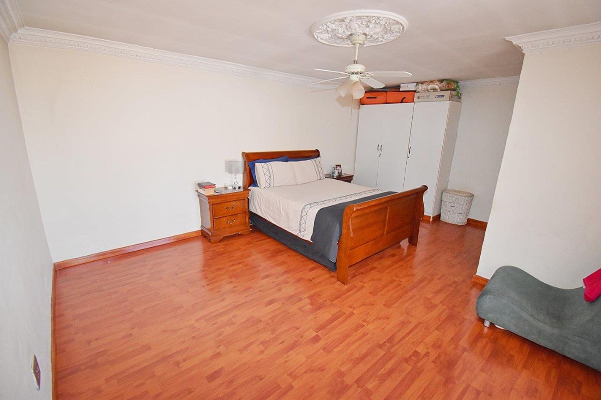 A spacious bedroom featuring laminate wood flooring, decorative ceiling cornicing, a central ceiling fan, and built-in wardrobe storage.