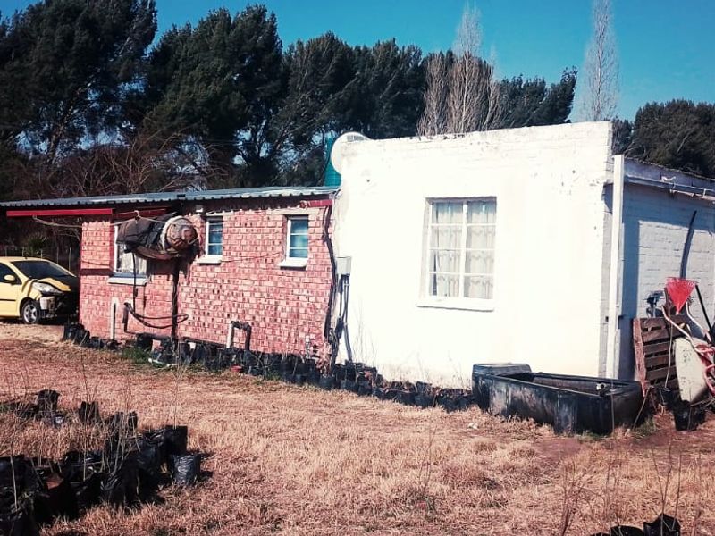 SMALL HOLDING .TWO FLATLETS.STRONG WATER. TWO BOREHOLES.SAVE AREA.CAN BUILD EASY 6 HOUSES. - Photo 4