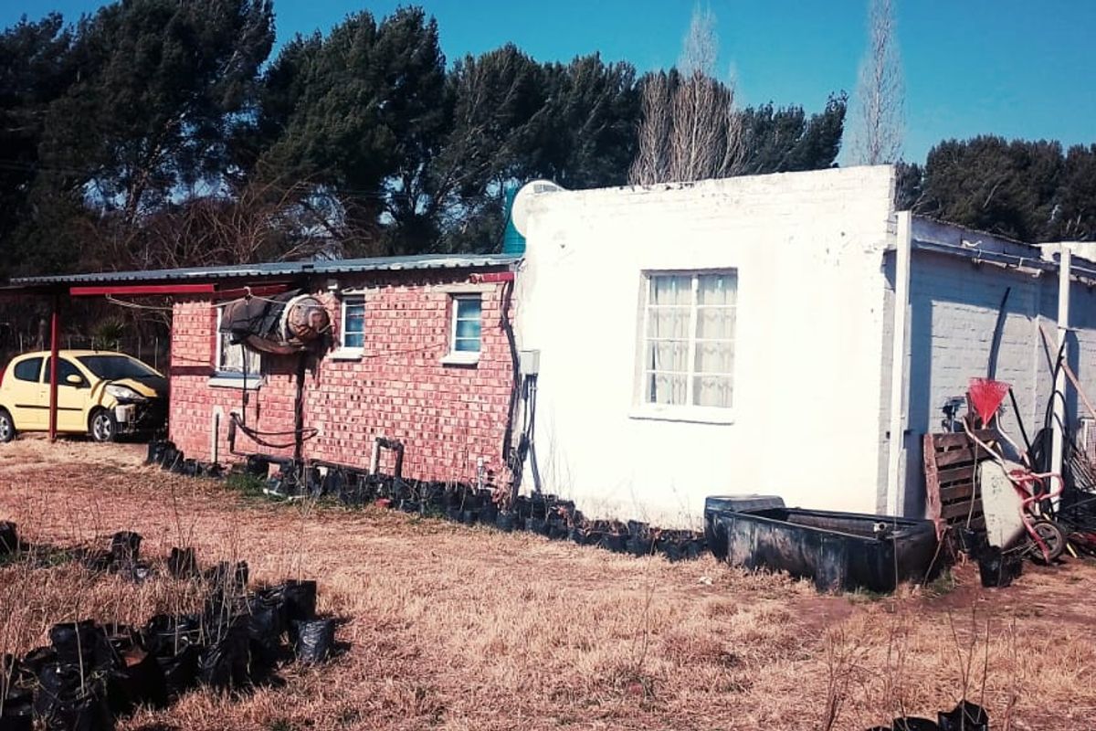 SMALL HOLDING .TWO FLATLETS.STRONG WATER. TWO BOREHOLES.SAVE AREA.CAN BUILD EASY 6 HOUSES. - Photo 4