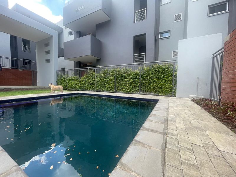 A well-maintained communal swimming pool area featuring paved decking, metal fencing, and modern apartment building architecture in the background.