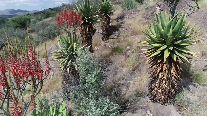 Property #2400119, Small Holding For Sale in Khomas Hochland