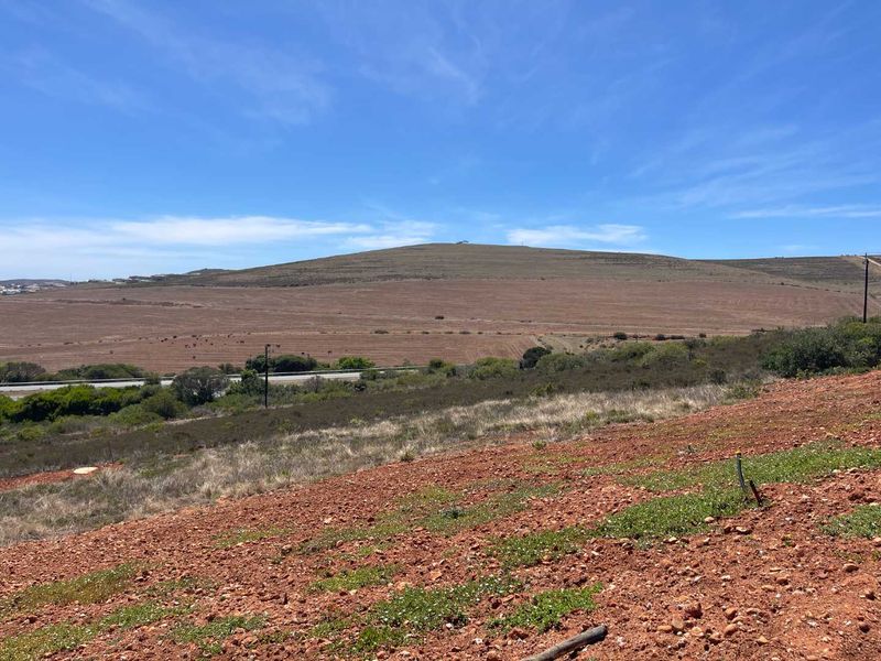 788m2 Vacant Stand For Sale in Hartland Lifestyle Estate - Exclusive Opportunity - Photo 3