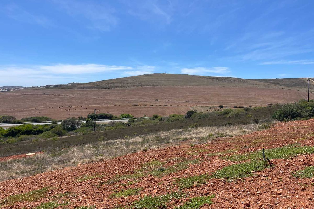 788m2 Vacant Stand For Sale in Hartland Lifestyle Estate - Exclusive Opportunity - Photo 3