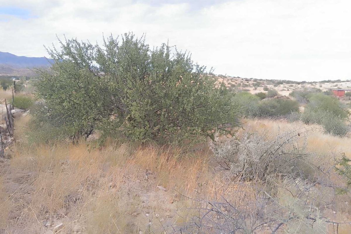 Usakos:  Plot right next to town is for sale - Photo 4