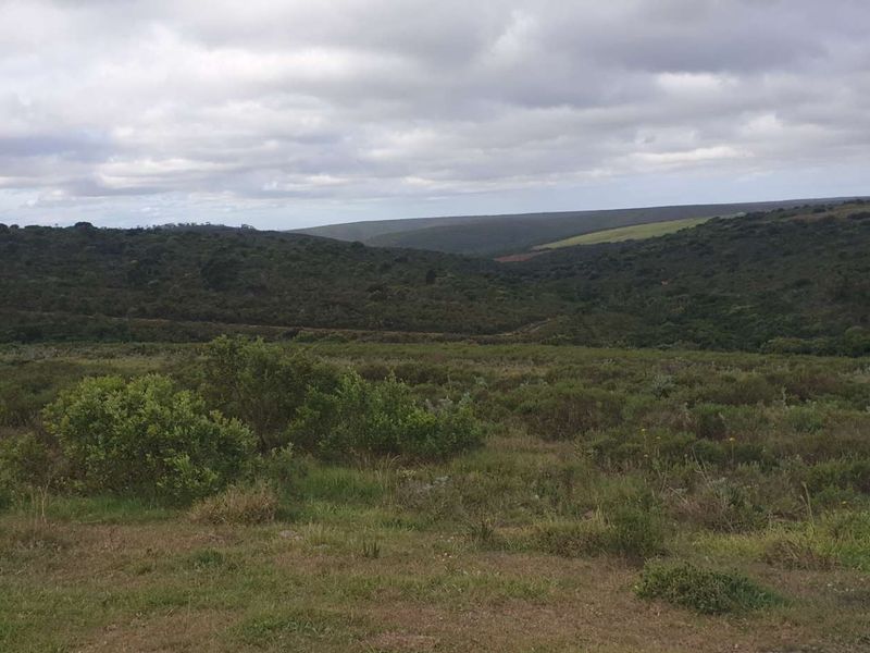 50 hectares with So much potential - Photo 6