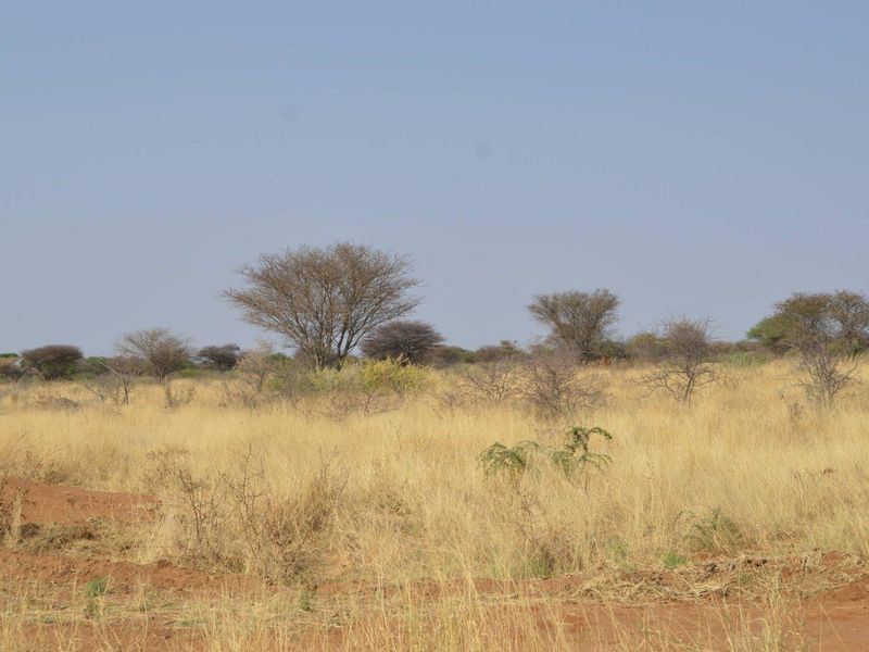 BIG PLOTS AHEAD & UP FOR SALE !! - Photo 3
