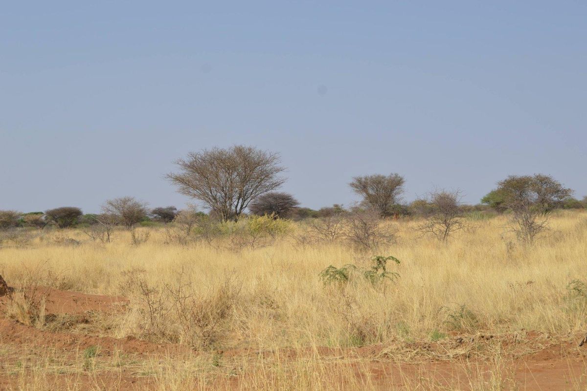 BIG PLOTS AHEAD & UP FOR SALE !! - Photo 3