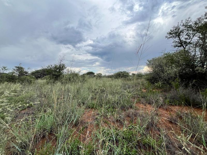Explore the vast potential of our stunning Hunting Lodge & Cattle Farm! - Photo 10