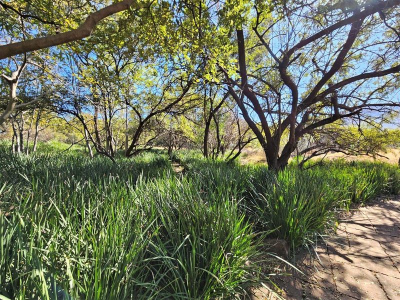 8300m2 Vacant Land in K'Shane, Kosmos - Photo 4