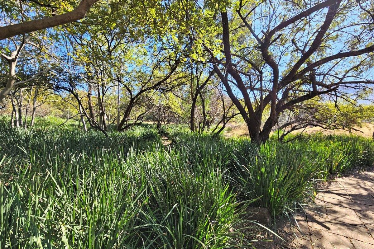 8300m2 Vacant Land in K'Shane, Kosmos - Photo 4