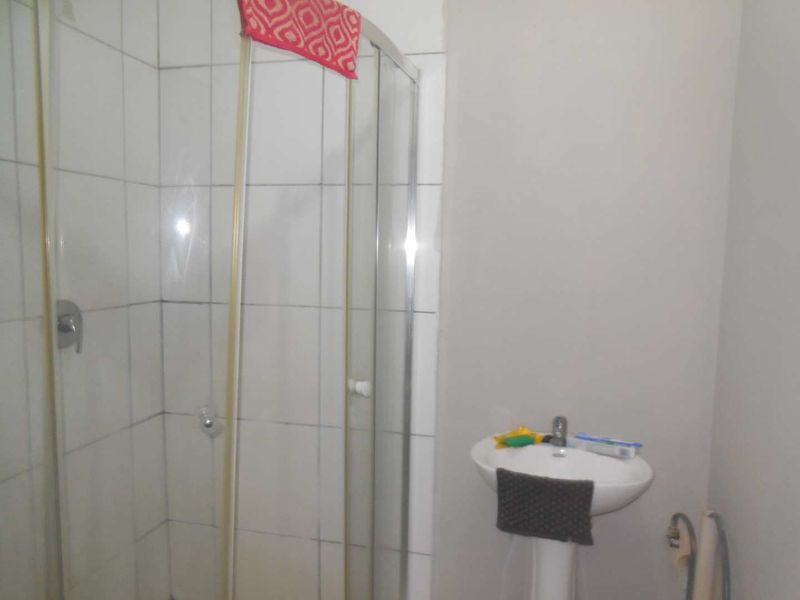Bachelor Flat at James 230 - Photo 7