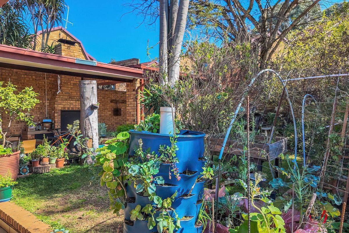 A rear garden area featuring a covered patio with a built-in braai, brick paving, and established garden beds.