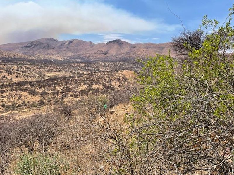 Three sectional title units on one erf for N$983,333 per unit in Gamsa St Kleine Kuppe. - Photo 2