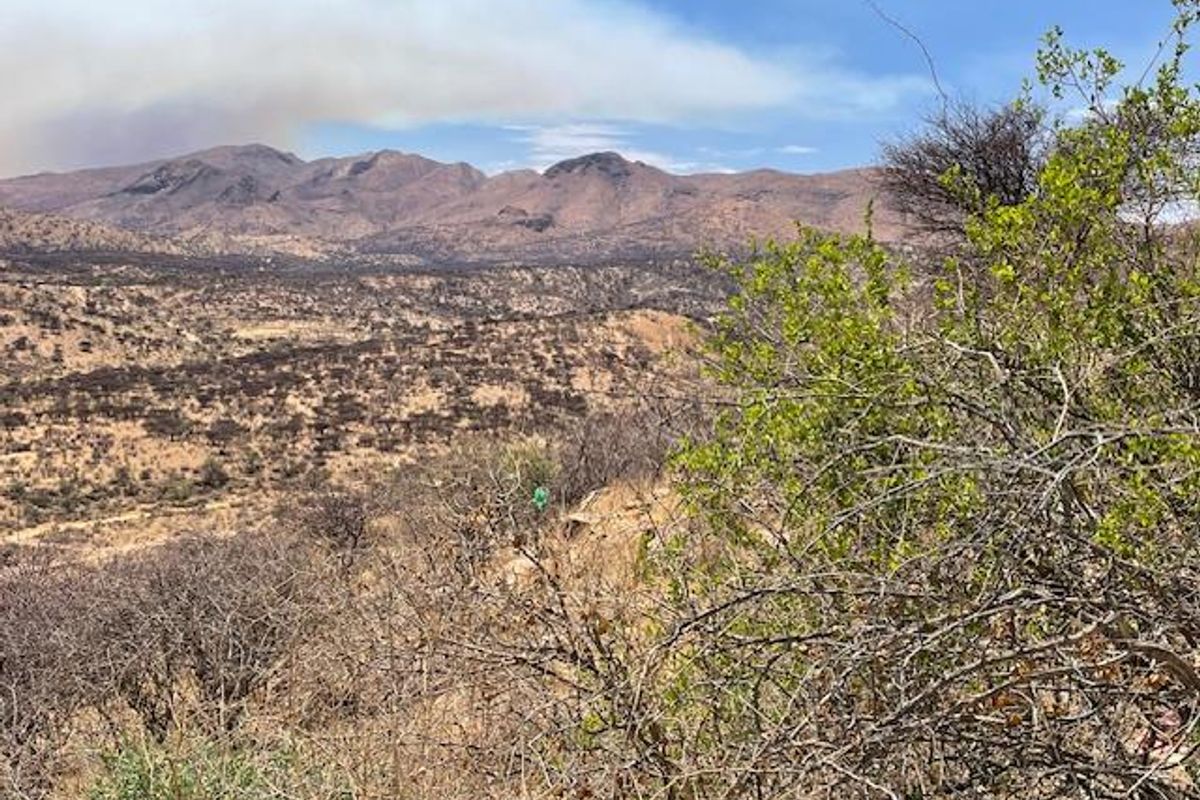 Three sectional title units on one erf for N$983,333 per unit in Gamsa St Kleine Kuppe. - Photo 2