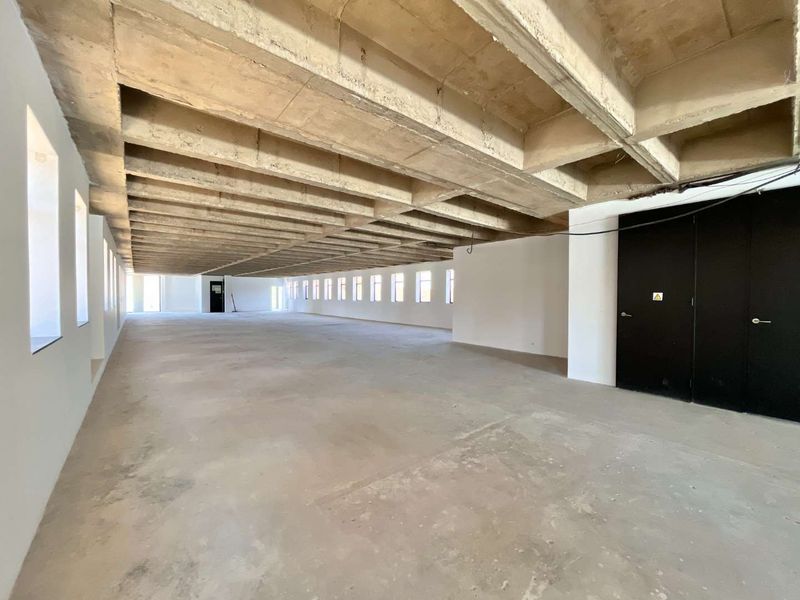 A large, open-plan office space featuring an industrial exposed concrete waffle ceiling, multiple windows, and unfinished concrete flooring, ready for custom fit-out.