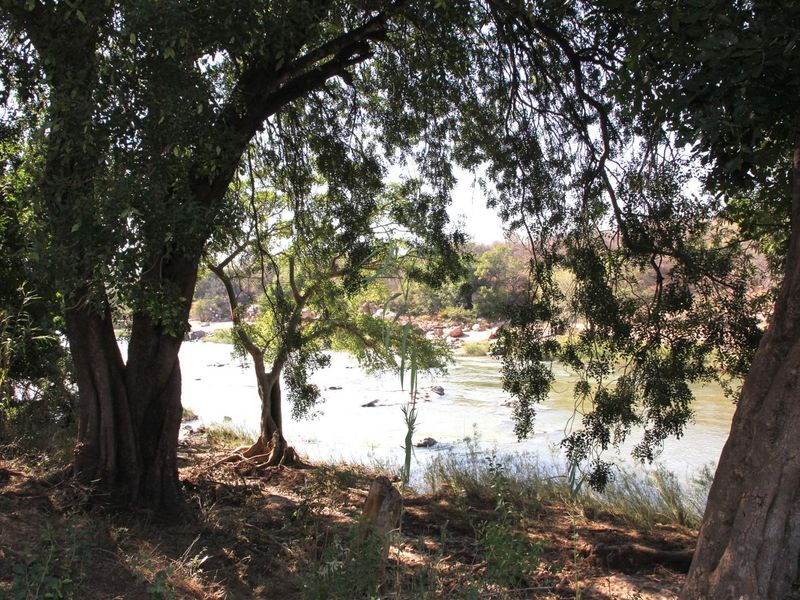 Prime location overlooking the Olifant’s River. - Photo 10