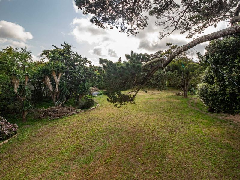 Prime Plot for Sale – Capri, South Peninsula - Photo 8