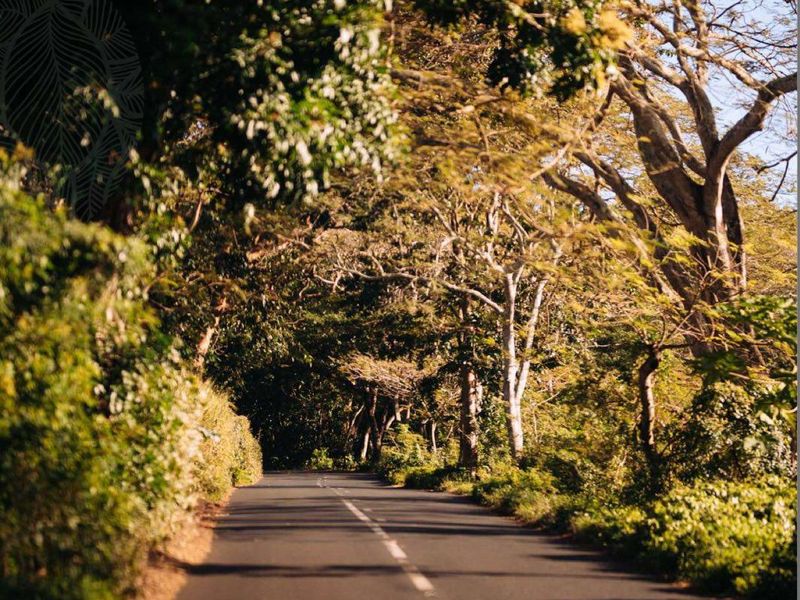 EXCLUSIVE PENTHOUSE SANCTUARY - Photo 8