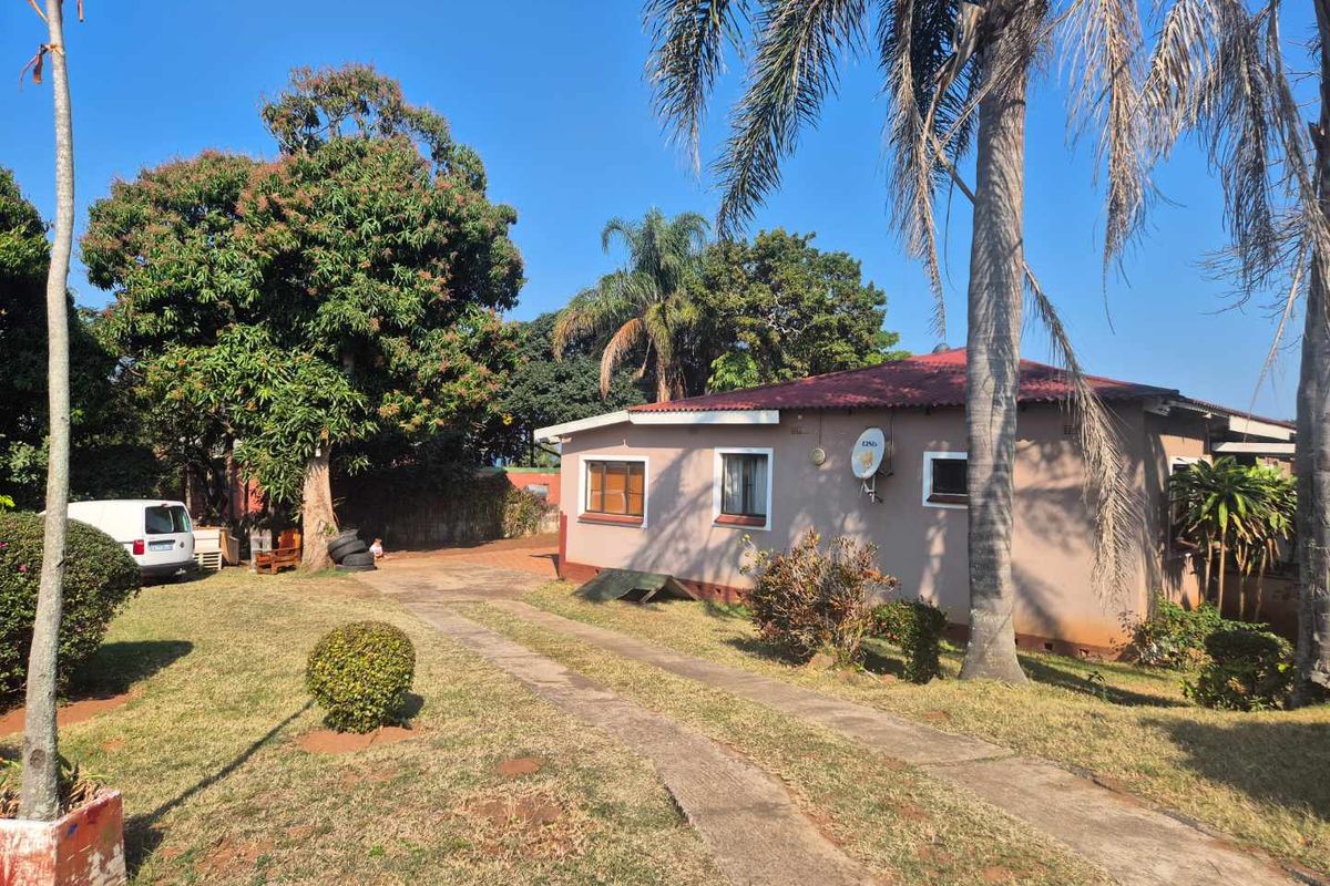A view of the rear exterior of the house featuring a concrete driveway, established garden, and metal roofing.