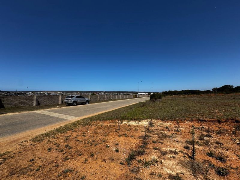 A view of the access road and concrete block boundary wall bordering the industrial property site.