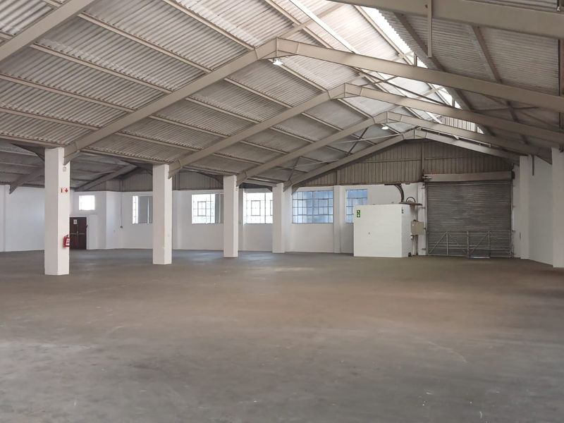 Spacious industrial warehouse featuring high ceilings, concrete flooring, a large roller shutter door, and ample natural light through industrial windows.