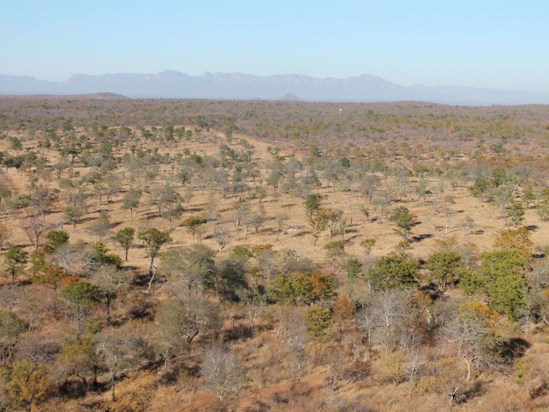 Top Game Breeding Farm for Sale - Photo 3