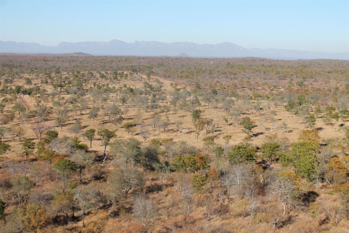 Top Game Breeding Farm for Sale - Photo 3