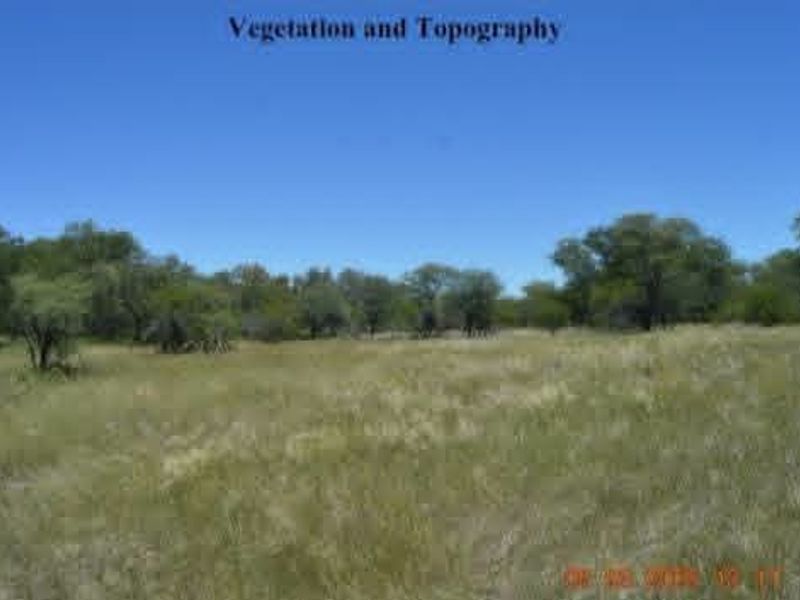 A view of the farm property showcasing the natural vegetation, open grassland, and topography of the landscape.