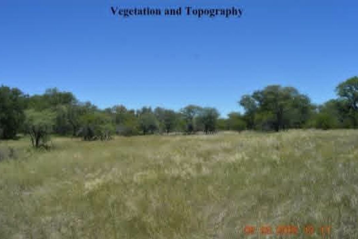 A view of the farm property showcasing the natural vegetation, open grassland, and topography of the landscape.