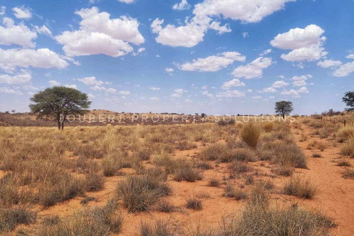 EXCEPTIONAL KALAHARI FARM FOR SALE IN NAMIBIA - HARDAP DISTRICT - Photo 3