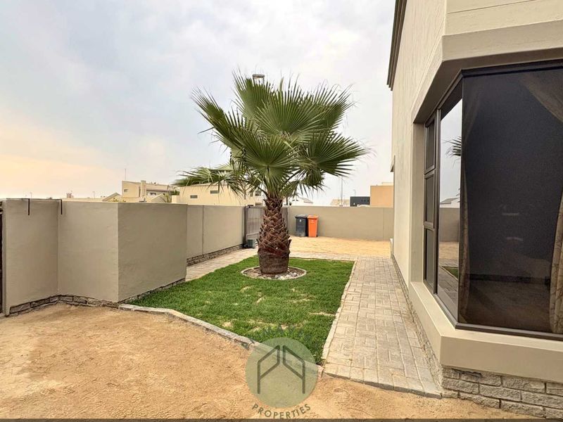 A private rear garden area featuring a paved walkway, a central palm tree, and a secure boundary wall with a timber gate.