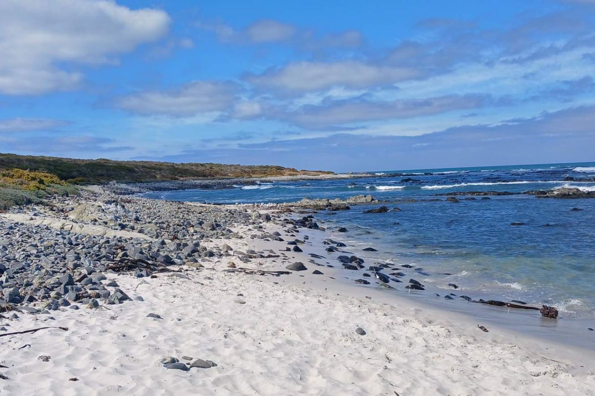 Wake Up at the Sea: Level 798m2 Stand in Exclusive Coastal Nature Reserve - Photo 5
