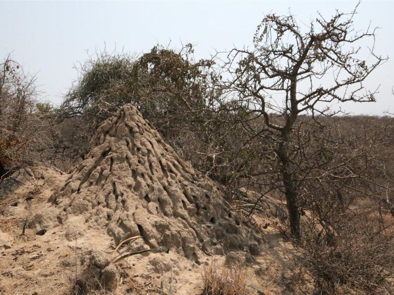 Exclusivity and quietness is the name of the game. - Photo 9