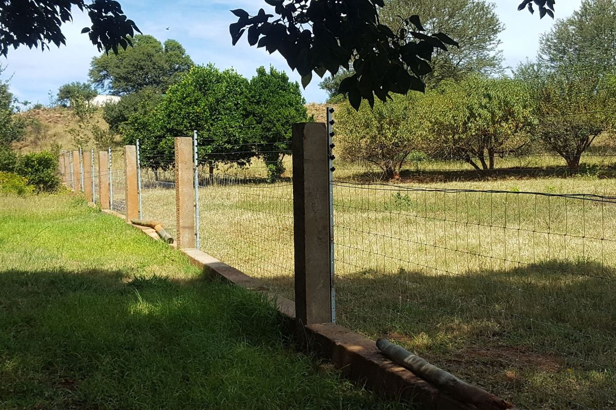 Farm for Sale - Photo 5