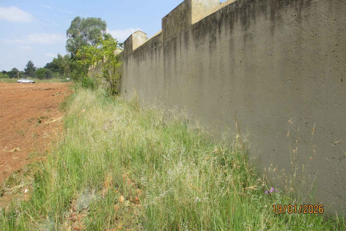 Enjoy the tranquility of Henley - Photo 5