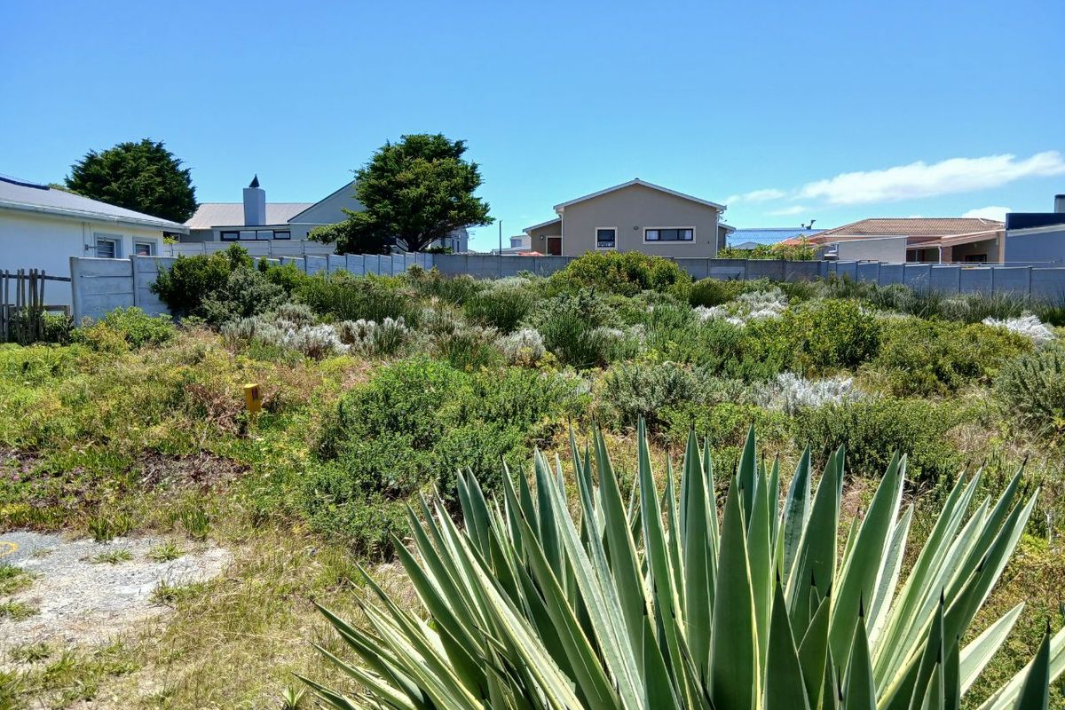 A vacant residential plot featuring established native vegetation and enclosed by a precast concrete boundary wall in a suburban setting.