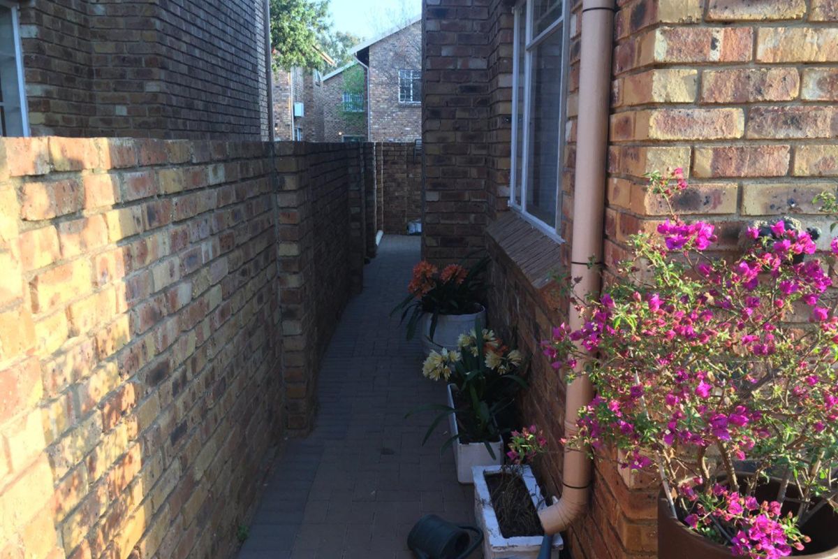 A narrow side walkway featuring face brick walls, paved flooring, and a downpipe along the exterior of the townhouse.