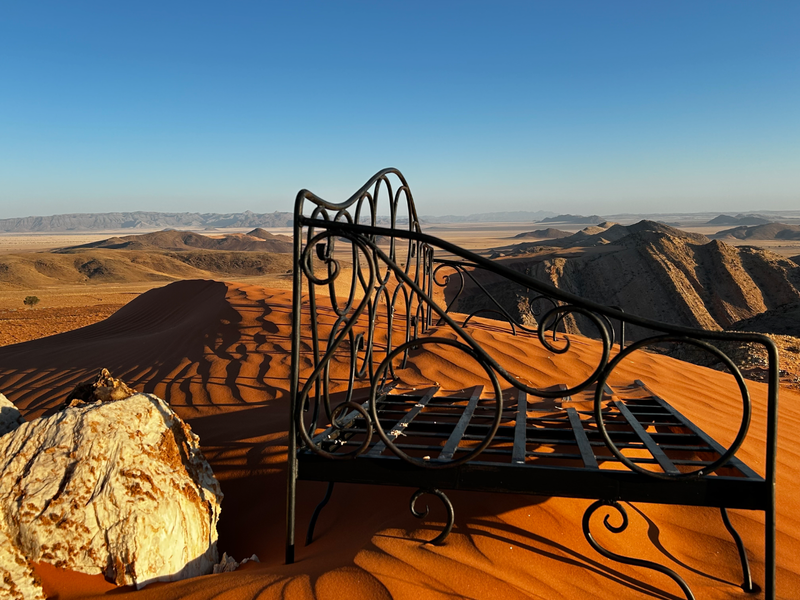 Untouched Desert Beauty - Photo 3