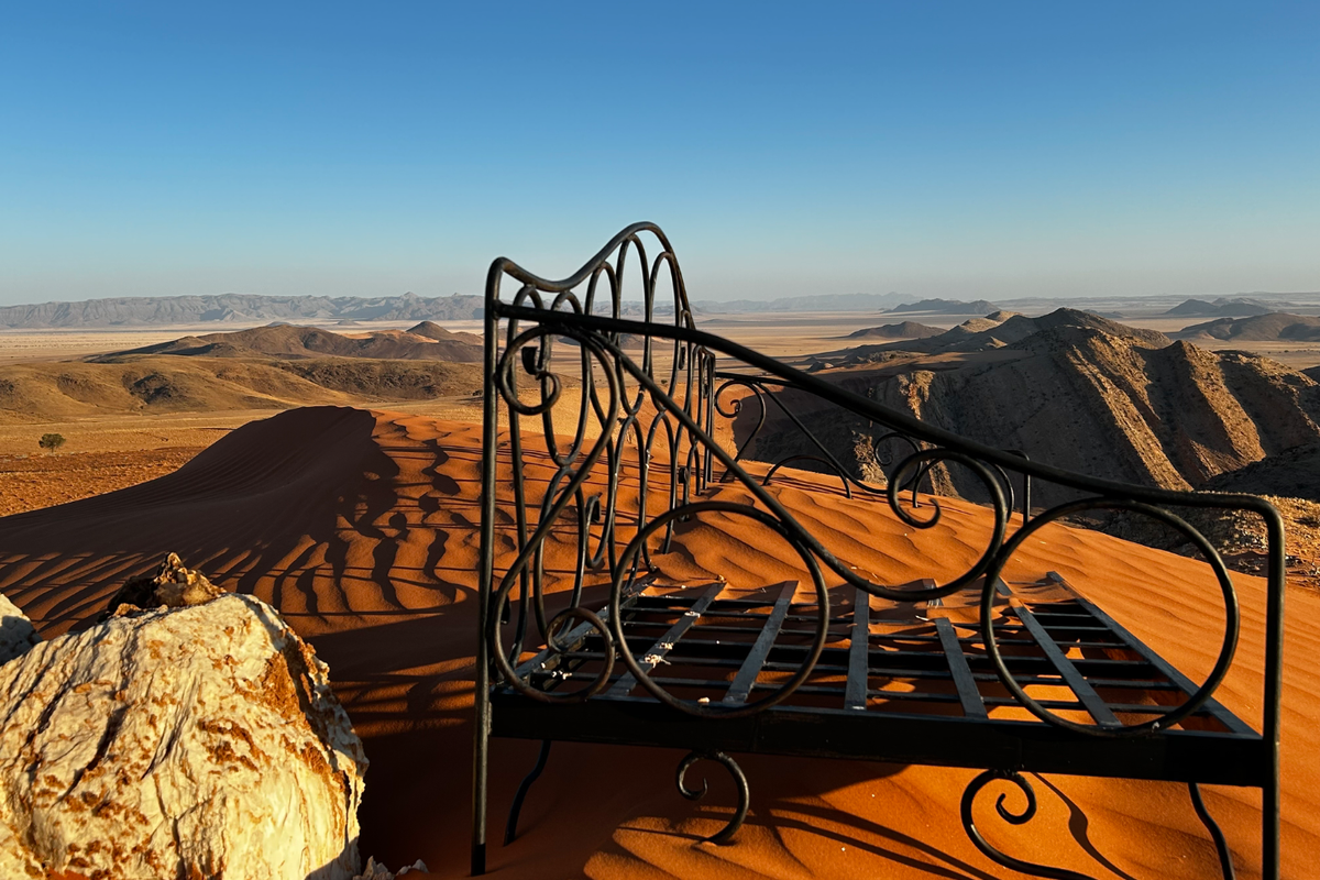 Untouched Desert Beauty - Photo 3