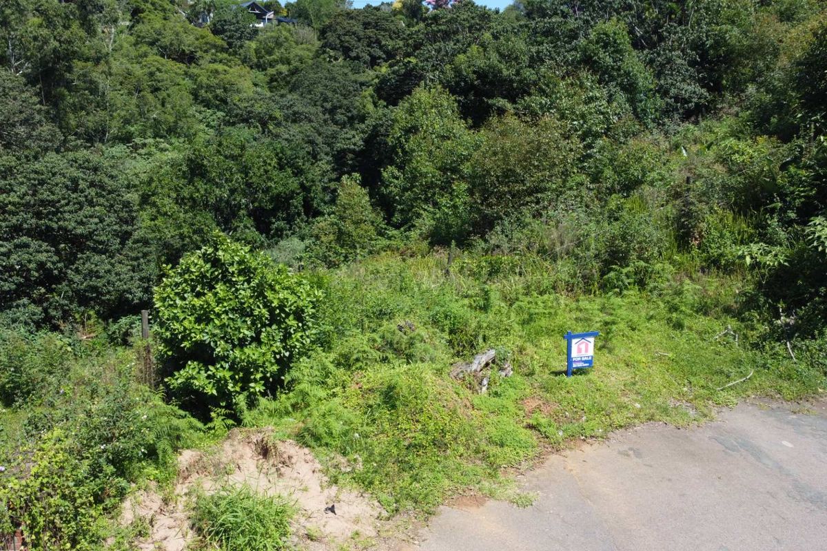 Discover an exceptional opportunity to own prime vacant land in one of the most sought-after areas of the Upper Highway in Gillitts. - Photo 5