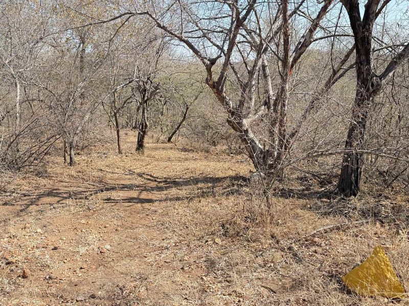 Discover Eco-Living at Elephant Rock Eco Estate – Vacant Land Now Available - Photo 9