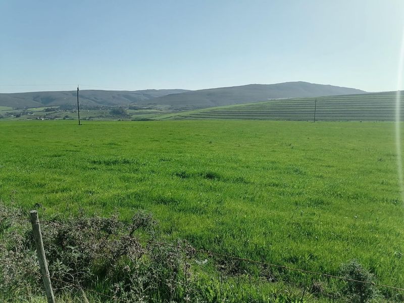 Getting back to Basics - Photo 4