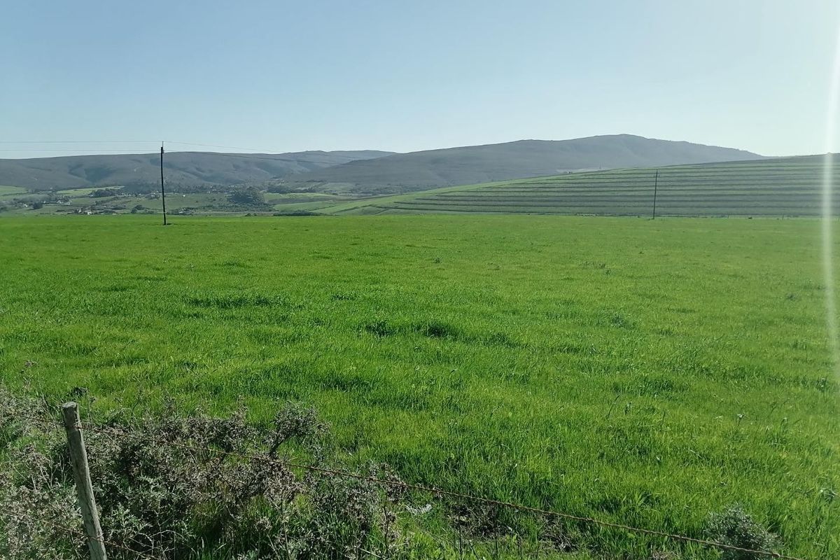 Getting back to Basics - Photo 4