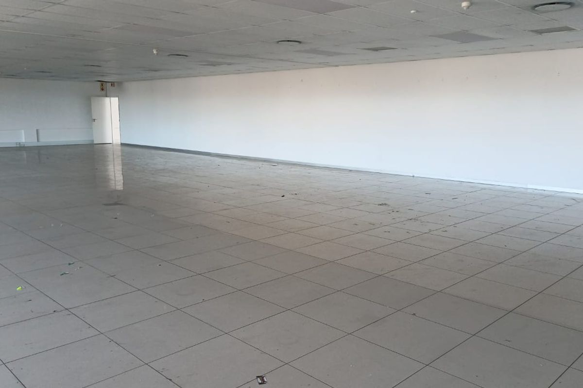 Modern Office Space To Let in Rondebosch Main – Prime Location Near UCT - Photo 2