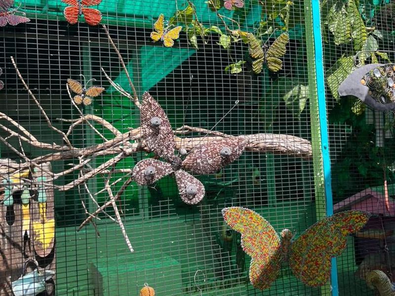 A garden area featuring a wire mesh enclosure structure decorated with various ornamental butterfly figures.