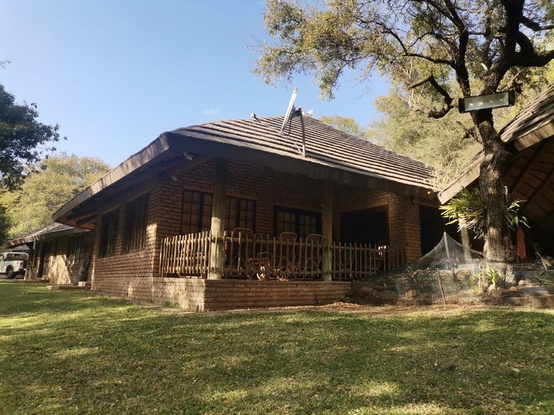 Rear view of a rustic brick house featuring a covered patio, tiled roof, and established garden surroundings.
