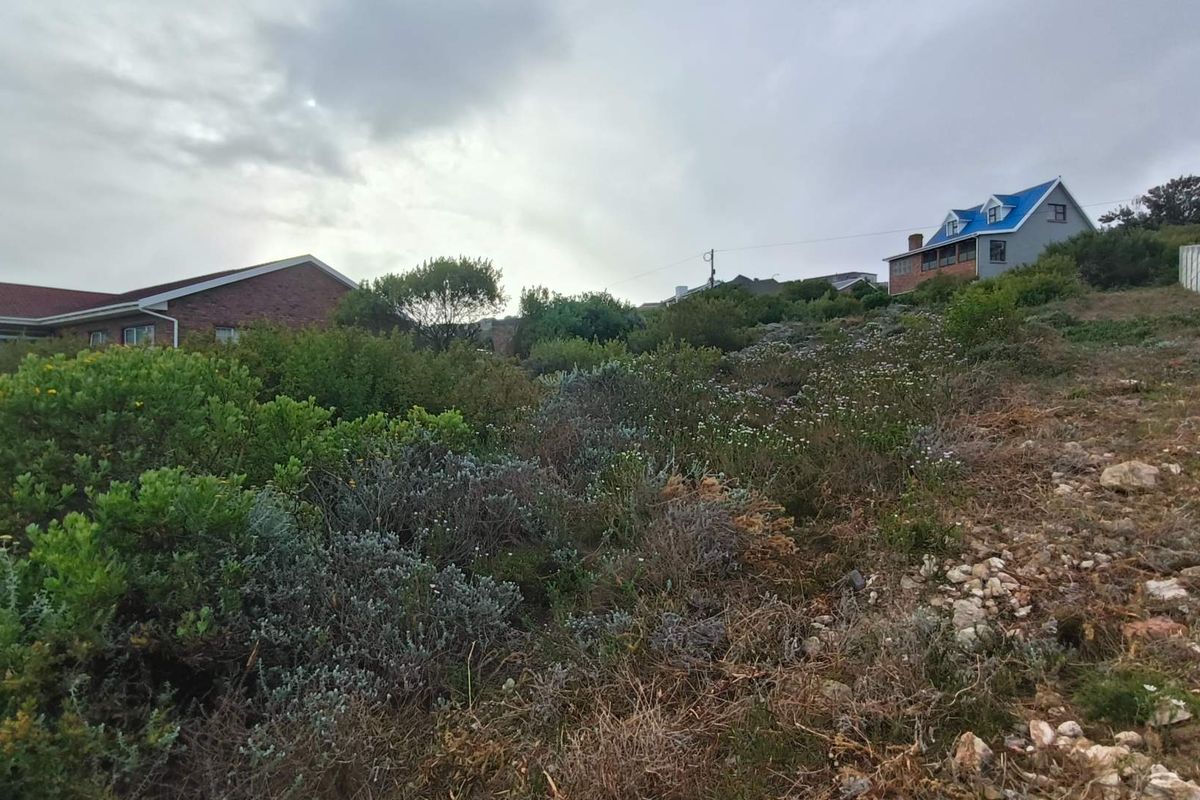A view of a sloped, undeveloped residential plot featuring natural coastal vegetation and surrounding neighborhood homes.