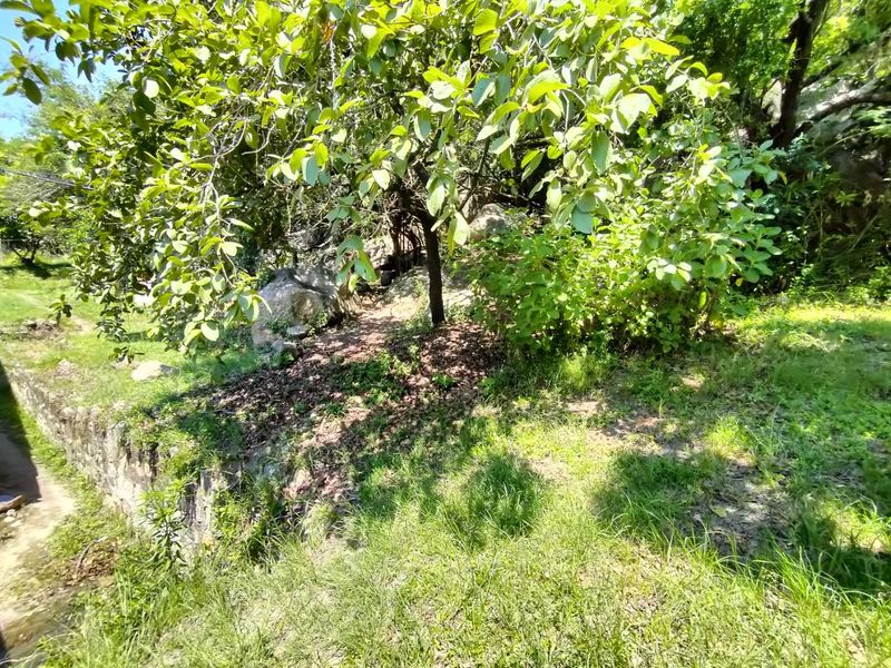 Small holding on the Clarmont road - Photo 5