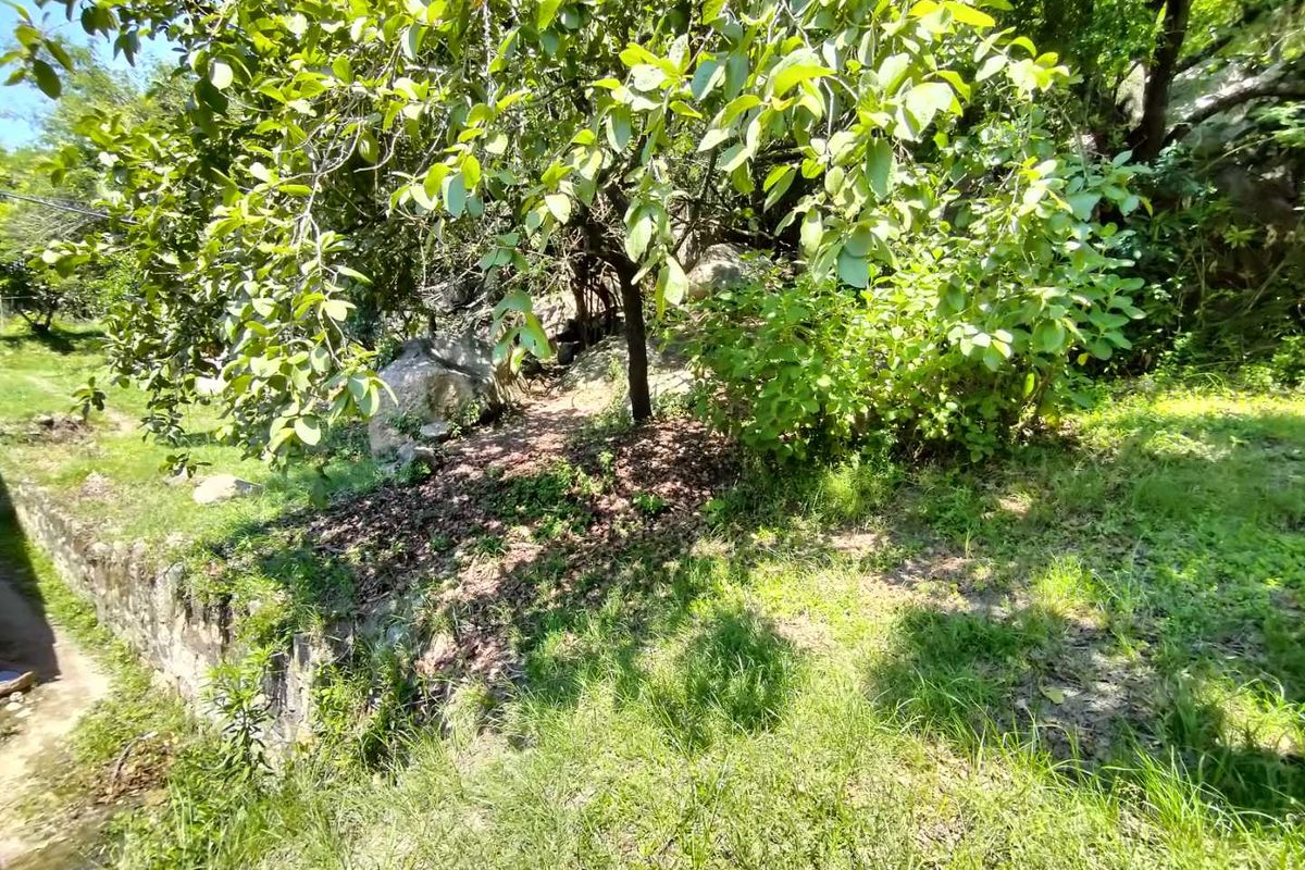 Small holding on the Clarmont road - Photo 5